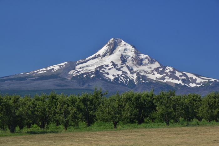 Mt Hood